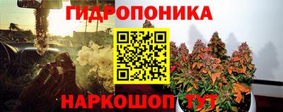 ПСИЛОЦИБИНОВЫЕ ГРИБЫ Вышний Волочёк