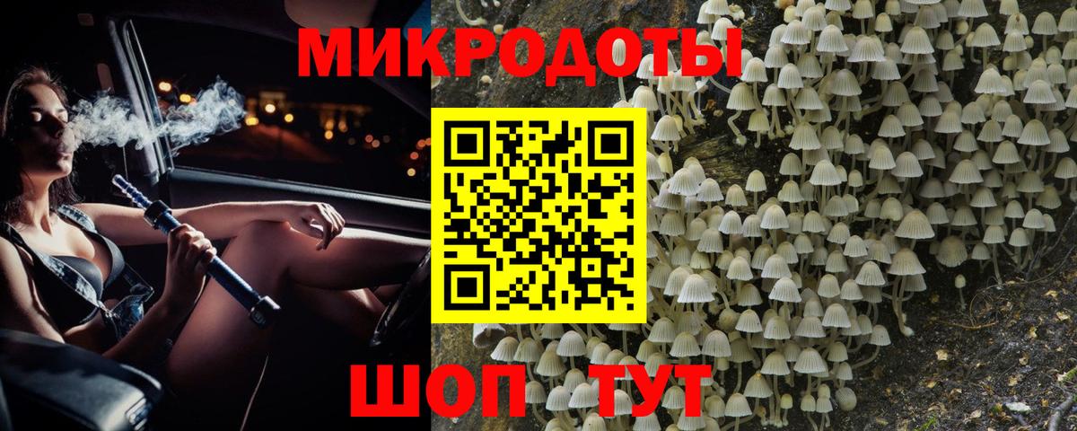 Борисоглебск  Псилоцибиновые грибы мицелий  Вход с VPN  Псилоцибиновые грибы Psilocybe 